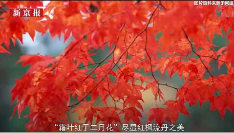 e927e240-553d-4094-a497-19d715651eb6.jpg