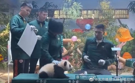 易建联被熊猫吓到，方硕反应亮了，网友：大哥不要面子的？