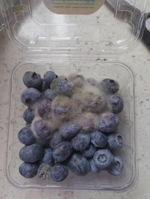 上热搜!女护士援鄂67天回家后惊呆了 这样的男人自己含泪也要养好了