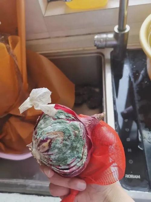 上热搜!女护士援鄂67天回家后惊呆了 这样的男人自己含泪也要养好了