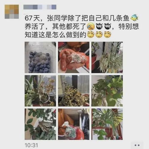 上热搜!女护士援鄂67天回家后惊呆了 这样的男人自己含泪也要养好了