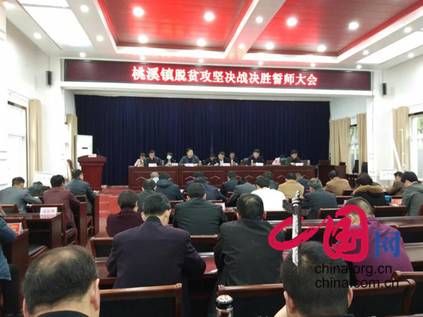 内乡县桃溪镇以钉钉子精神聚力决胜脱贫攻坚