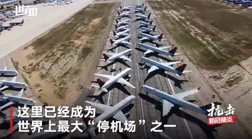 美国加利福尼亚州的一处前空军基地上停放400架飞机，为世界上最大“停机坪”之一