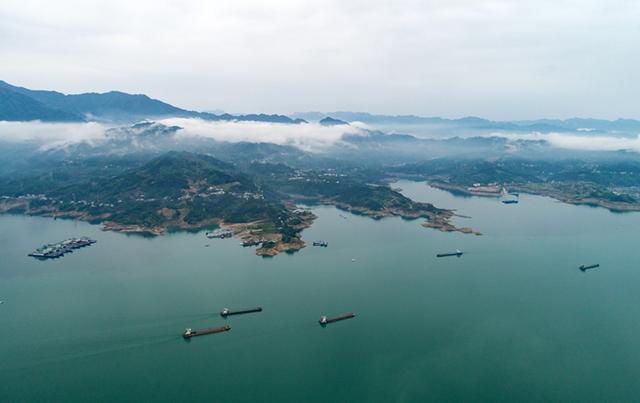 长江流域抗生素污染调查:儿童孕妇尿液中检出多种抗生素