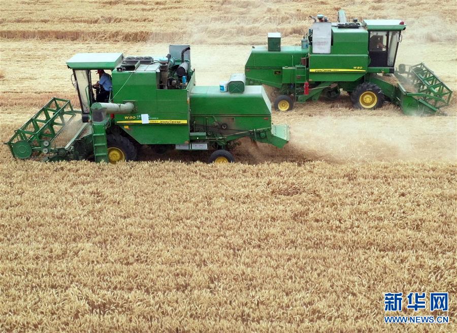 （经济）（5）金色田野里“瞰”麦收
