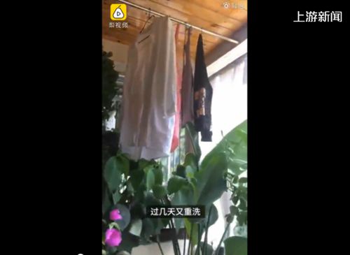 神仙阳台房主衣服晾1个月未干 空气潮湿“仙气”太足