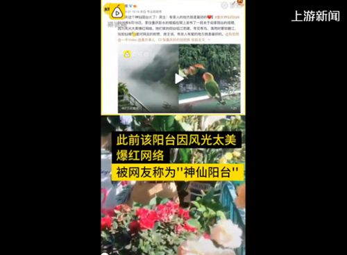 神仙阳台房主衣服晾1个月未干 空气潮湿“仙气”太足