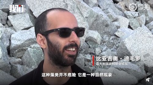 阿尔卑斯山出现粉色冰川 表面蒙上一层粉红色的雪