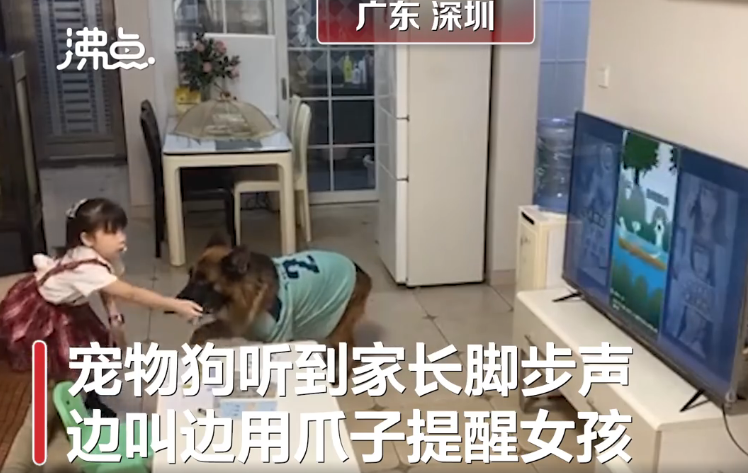 微信截图_20200831150928