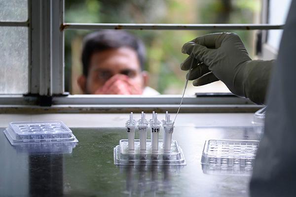 专家称印度将成全球疫情新爆点 确诊病例超393万例