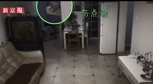 如何开一家快递站 276ffc1f-c52d-4b00-9142-b1d6af1062d9.jpg