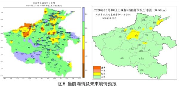 河南农作物什么时候收,种最适宜?