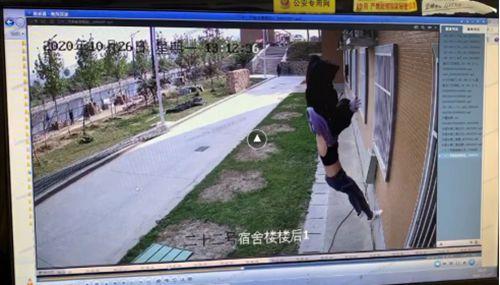 郑州商学院一女生坠楼身亡 警方称非正常死亡