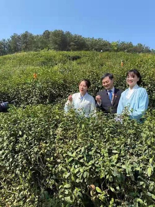 光山县APP开发