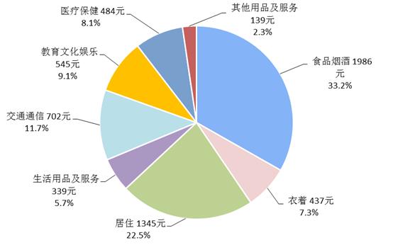 城镇人口比重定义_城镇人口比重图片(2)