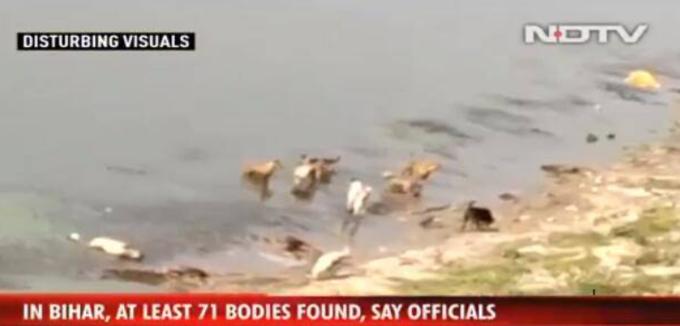 印度恒河流域惊现大量浮尸 竟是救护车抛弃?_中国网
