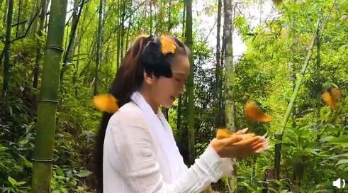 蝴蝶排行_“蝴蝶风暴”再度卷土重来销量排行证实一切