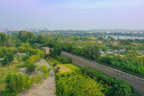 灌注桩施工队助力建筑施工