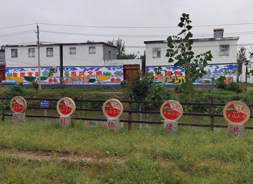 河南省汝南县王岗镇人居环境整治_ 党员先锋模范作用_河南省汝州市庙下镇