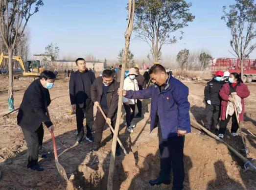 杞县西寨乡植树就是致富造林就是造福