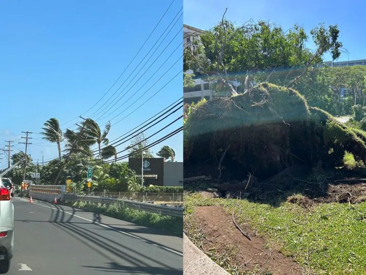 天天热讯:夏威夷山火已致80死 中国游客讲述：“完全没有警报”小镇化为灰烬